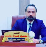 محمود حمزة رزوقي