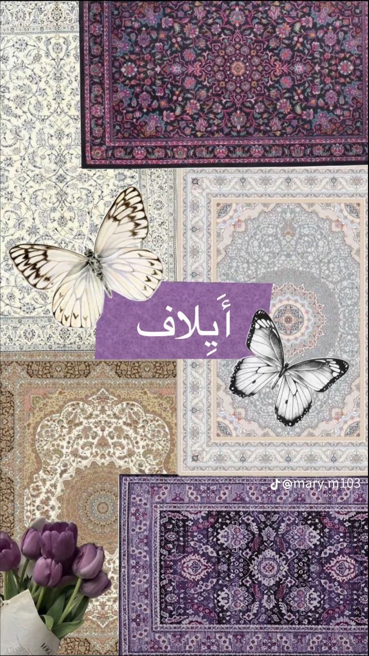 ايلاف حسين محمد عودة