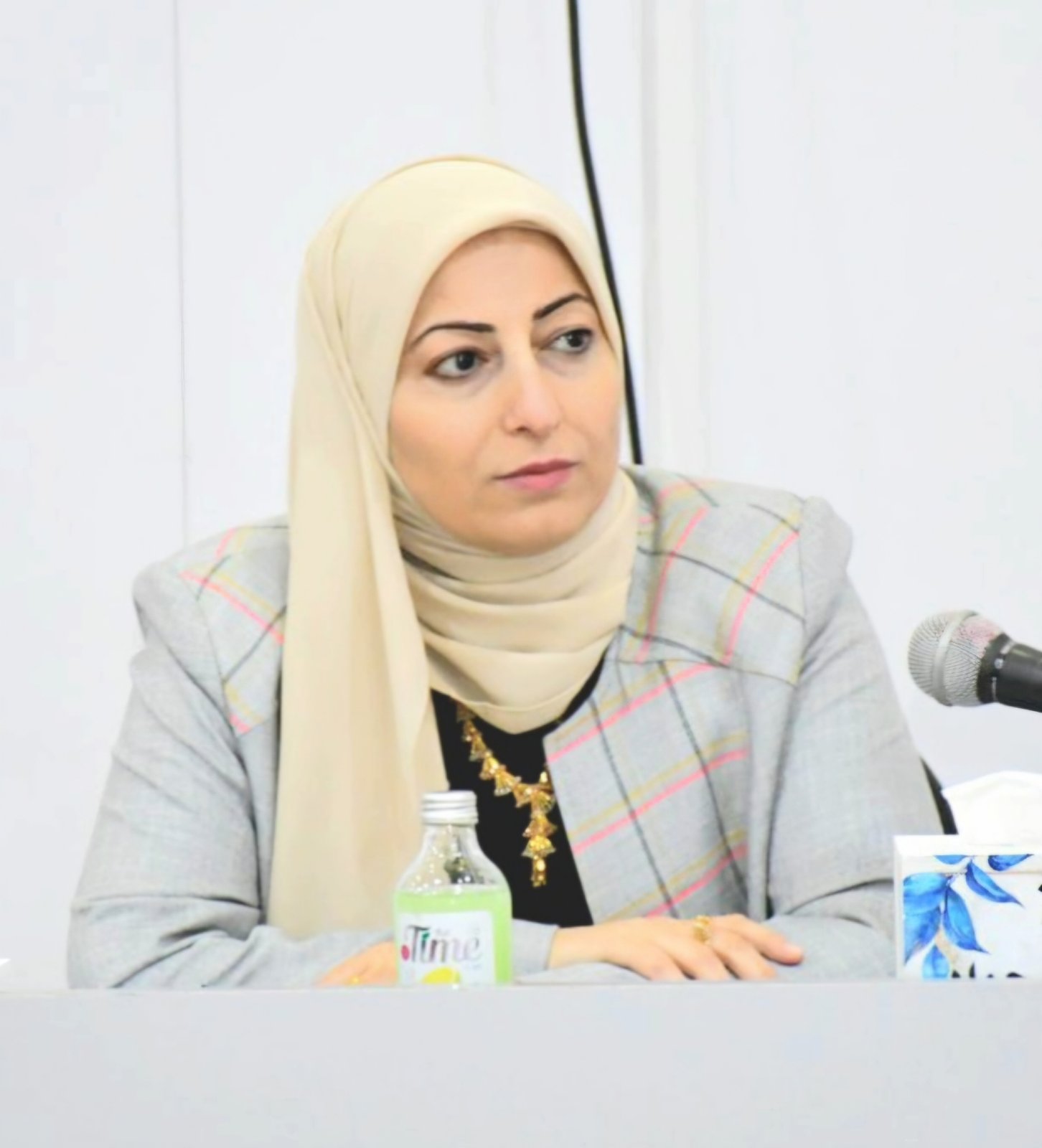 Hadeel Hadi Albayati